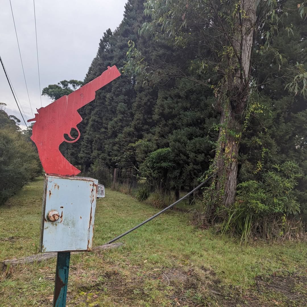 Red pistol-shaped sign beside a bush-lined driveway